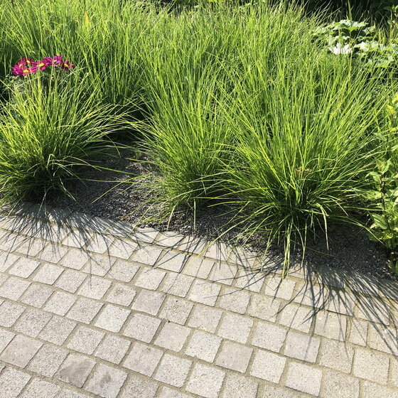 Basaltlava Kleinpflaster aus Naturstein für moderne Gartenwege