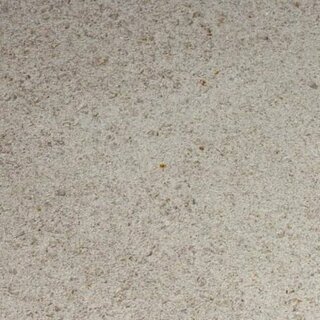 GESTRAHLT Nahaufnahme von Sabbia Muschelkalk mit gestrahlter Oberfläche