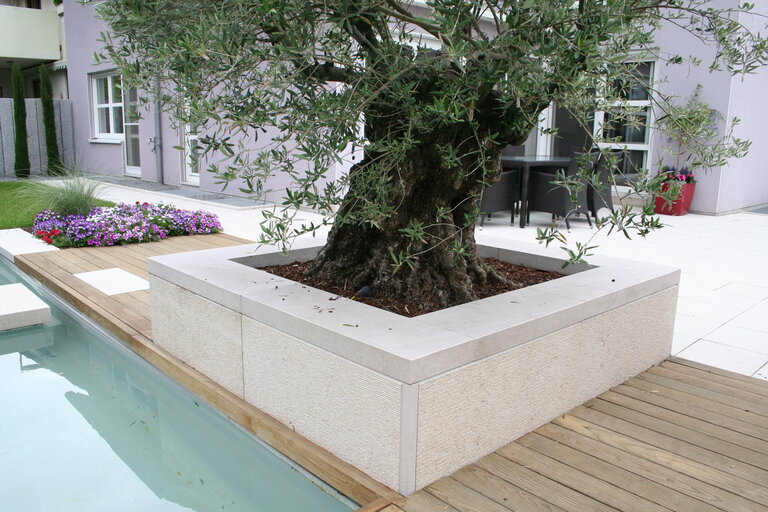 Jura Hochbeet mit Baumbepflanzung entlang eines Pools
